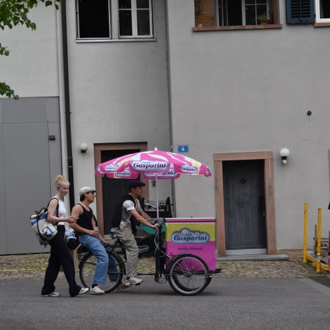 DSC 0825. Vergrösserte Ansicht