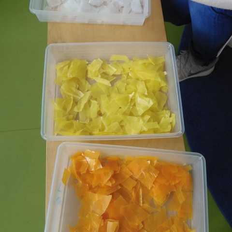 DSCN0793. Vergrösserte Ansicht