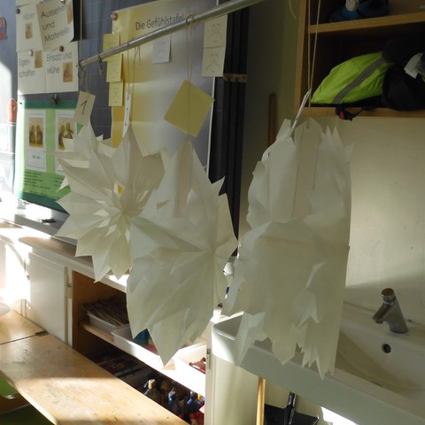 DSCN0856. Vergrösserte Ansicht