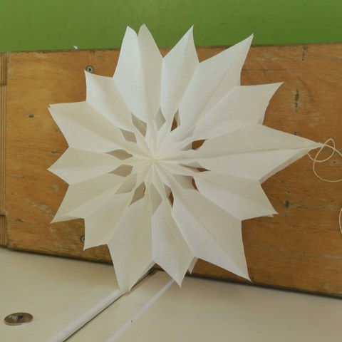 DSCN0861. Vergrösserte Ansicht