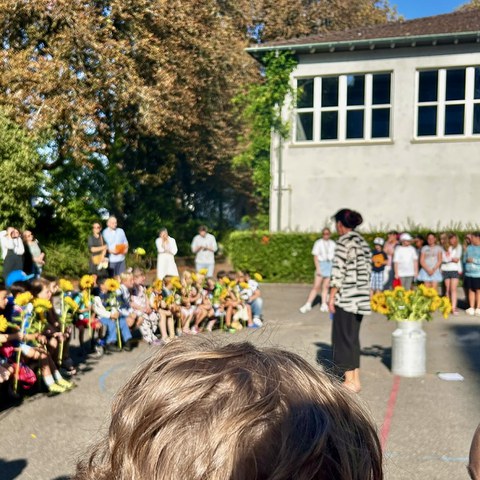 IMG 8260. Vergrösserte Ansicht