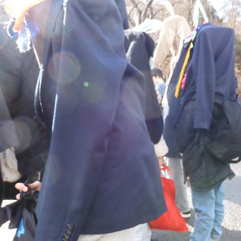 DSCN0909. Vergrösserte Ansicht