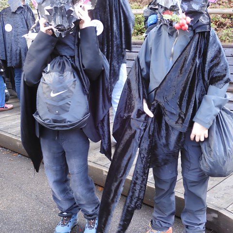 DSCN0916. Vergrösserte Ansicht