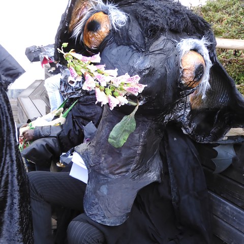 DSCN0917. Vergrösserte Ansicht