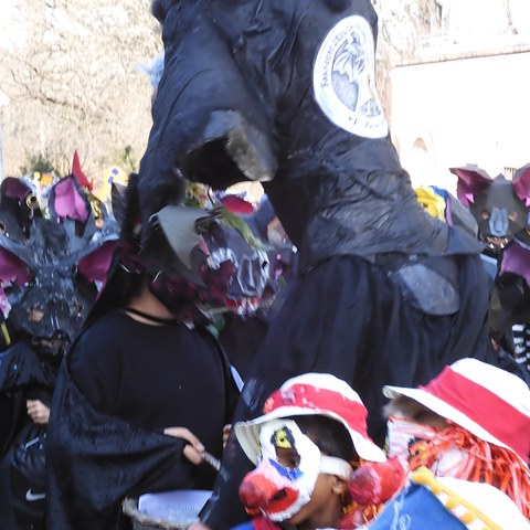 DSCN0935. Vergrösserte Ansicht