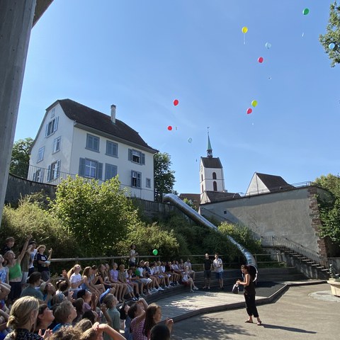 8. Vergrösserte Ansicht