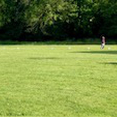 IMG 4467. Vergrösserte Ansicht