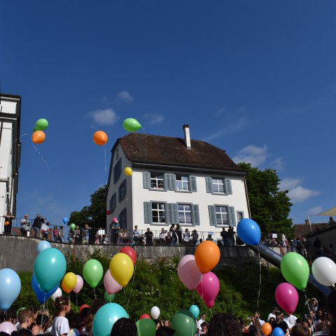 DSC 0660. Vergrösserte Ansicht