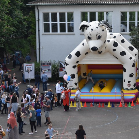 DSC 0699. Vergrösserte Ansicht