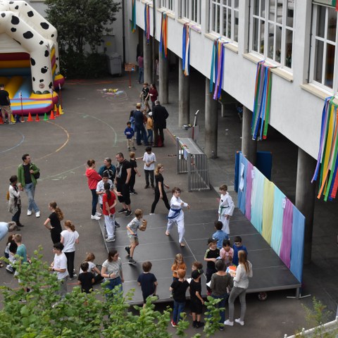 DSC 0807. Vergrösserte Ansicht